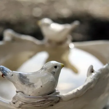 Lula Couette-café Lucques